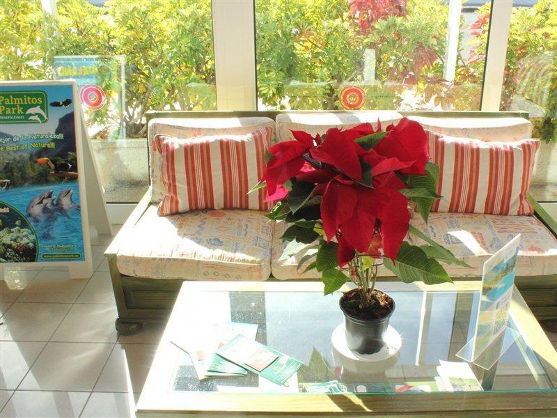 Bungalows Cordial Sandy Golf Maspalomas  Exterior foto